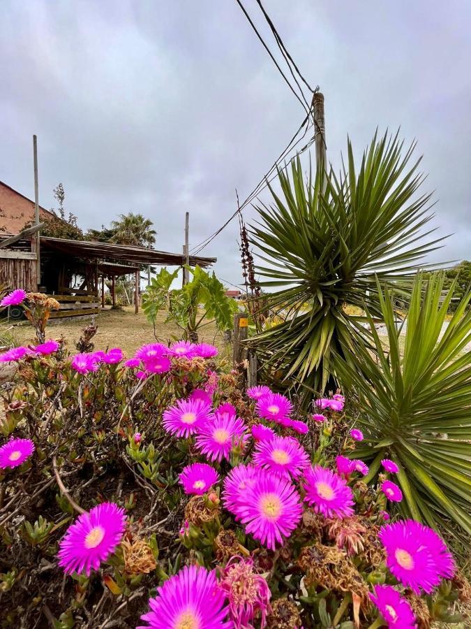 Aguas Dulces Hostel Bagian luar foto